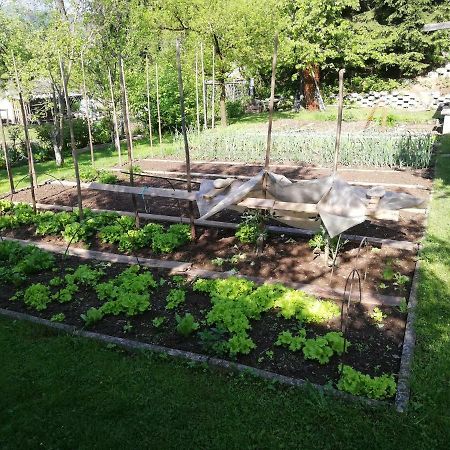 Apartment Sopar Škofja Loka المظهر الخارجي الصورة