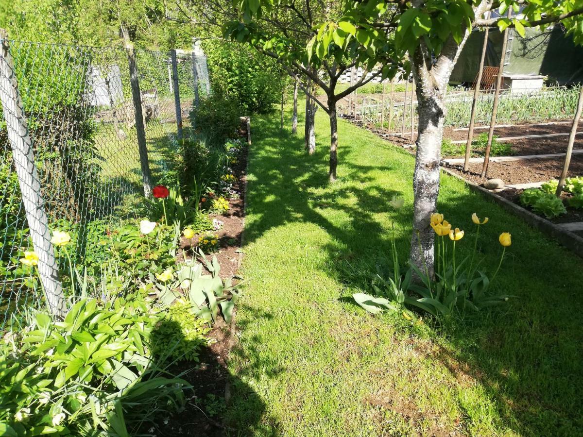 Apartment Sopar Škofja Loka المظهر الخارجي الصورة